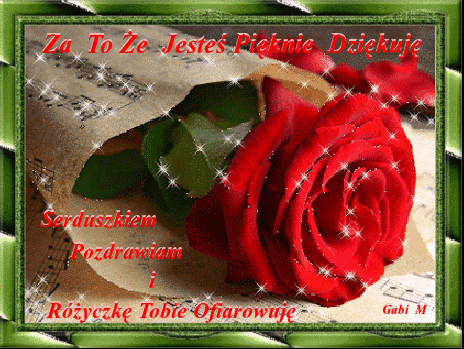 Za to że jesteś pięknie dziękuję pozdrawiam różę ofiaruję